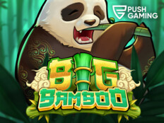 Betjungle casino4